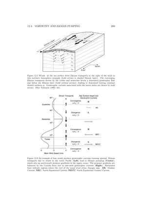 12.4. VORTICITY AND EKMAN PUMPING 209
T
ra
d
e
W
in
d
s
W
esterlies
North
East
Ekman Layer
ρ1
ρ6
ρ2
ρ3
ρ5
ρ4
Figure 12.7 Winds at the sea surface drive Ekman transports to the right of the wind in
this northern hemisphere example (bold arrows in shaded Ekman layer). The converging
Ekman transports driven by the trades and westerlies drives a downward geostrophic ﬂow
just below the Ekman layer (bold vertical arrows), leading to downward bowing constant
density surfaces ρi. Geostrophic currents associated with the warm water are shown by bold
arrows. After Tolmazin (1985: 64).
Trades
Westerlies
Easterlies
Convergence
Convergence
Divergence
Convergence
Divergence
H
L
H
L
H
NECC
NEC
AK
Sea Surface Height and
Geostrophic Currents
Ekman Transports
curlτ > 0
curlτ < 0
curlτ > 0
curlτ < 0
curlτ < 0
Mean Wind Speed (m/s)
-4 0 4
80º
60º
40º
20º
Figure 12.8 An example of how winds produce geostrophic currents running upwind. Ekman
transports due to winds in the north Paciﬁc (Left) lead to Ekman pumping (Center),
which sets up north-south pressure gradients in the upper ocean. The pressure gradients are
balanced by the Coriolis force due to east-west geostrophic currents (Right). Horizontal
lines indicate regions where the curl of the zonal wind stress changes sign. AK: Alaskan
Current, NEC: North Equatorial Current, NECC: North Equatorial Counter Current.
 