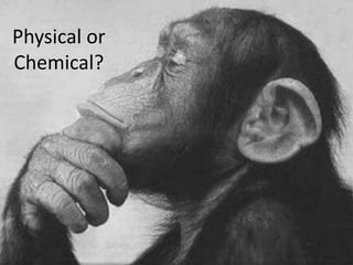 Physical or
Chemical?
 