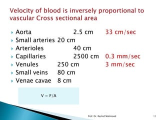  Aorta 2.5 cm 33 cm/sec
 Small arteries 20 cm
 Arterioles 40 cm
 Capillaries 2500 cm 0.3 mm/sec
 Venules 250 cm 3 mm/sec
 Small veins 80 cm
 Venae cavae 8 cm
V = F/A
Prof. Dr. Rashid Mahmood 11
 