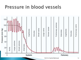 Prof. Dr. Rashid Mahmood 12
 