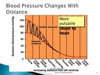 More
pulsatile
closer to
heart
Prof. Dr. Rashid Mahmood 13
 
