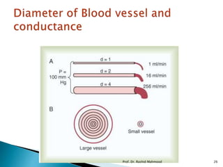 Prof. Dr. Rashid Mahmood 26
 