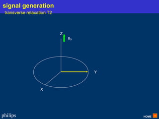 HOME
philips
X
Y
Z
Bo
signal generation
transverse relaxation T2
 