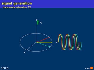 HOME
philips
X
Y
Z
Bo
signal generation
transverse relaxation T2
 