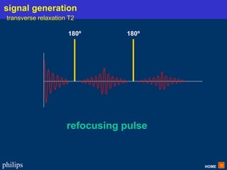 HOME
philips
180º 180º
refocusing pulse
signal generation
transverse relaxation T2
 