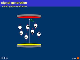 HOME
philips
B0
signal generation
nuclei, protons and spins
 