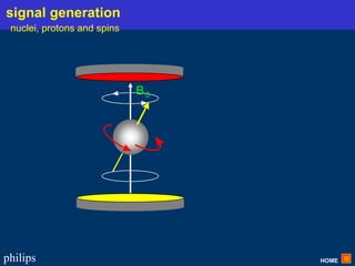HOME
philips
B0
signal generation
nuclei, protons and spins
 