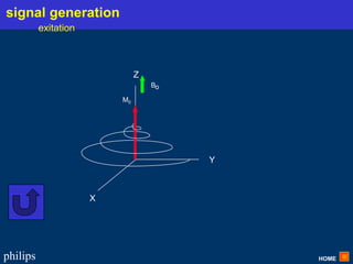 HOME
philips
X
Y
Z
Bo
M0
signal generation
exitation
 