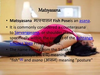 Matsyasana
• Matsyasana मत्स्यासन Fish Poseis an asana.
• It is commonly considered a counterasana
to Sarvangasana, or shoulder stand,
specifically within the context of the Ashtanga
Vinyasa Yoga Primary Series.
• The name comes from the Sanskritt
words matsya (मत्स्य) meaning
"fish"[4] and asana (आसन) meaning "posture"
 