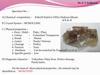 Specimen No. :-
A] Chemical composition :- KAl2(Al Si3O10) (OH)2 Hydrous Silicate
of K & Al
B ] Crystal System :- MONOCLINIC
C ] Physical properties :-
1. Form / Habit – Flaky / Platy
2. Colour – Colourless/ Transparent
3. Streak – Absent
4. Lustre – Pearly/ Vitreous
5. Cleavage – Perfect
6. Fracture – Even
7. Hardness – Can be scratched by Fingernail (2.7 to 3)
8. Specific gravity – Low
D] Diagnostic character – Colourless, Flaky form, Perfect cleavage,
Pearly lustre,
On the basis of above physical properties , the mineral may be
identified as MUSCOVITE
Dr. S. V. Kulkarni
 