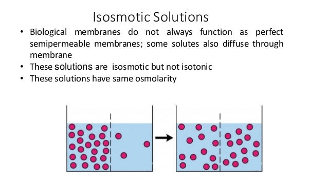 Physical properties of drug molecules sb
