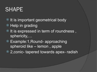 PHYSICAL PROPERTIES OF FOOD GRAInjjNS.pptx