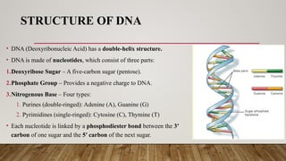 Physical properties of nucleic acids.(DNA & RNA) | PPTX