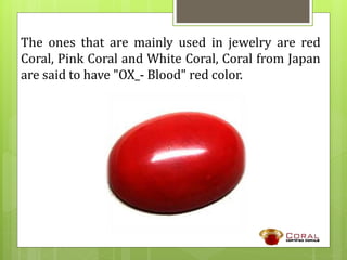 Coral Reef Red Coral Gemstone Meaning 50ct Natural Rough Red Coral