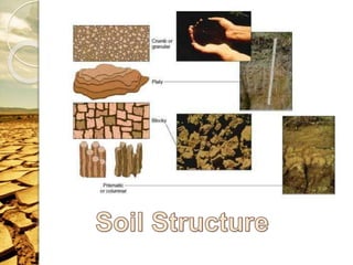 Physical properties of soil