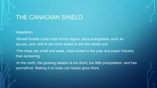 THE CANADIAN SHIELD
Vegetation
•Boreal forests cover most of this region, since evergreens, such as
spruce, pine, and fir are more suited to the thin sandy soil.
•The trees are small and weak, more suited to the pulp and paper industry
than lumbering.
•In the north, the growing season is too short, too little precipitation, and has
permafrost. Making it so trees can barely grow there.

 