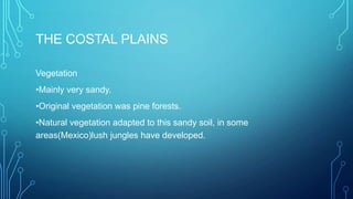 THE COSTAL PLAINS
Vegetation
•Mainly very sandy.

•Original vegetation was pine forests.
•Natural vegetation adapted to this sandy soil, in some
areas(Mexico)lush jungles have developed.

 