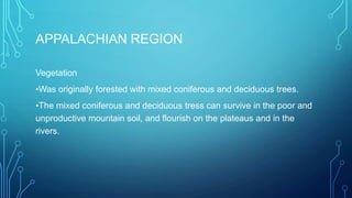 APPALACHIAN REGION
Vegetation
•Was originally forested with mixed coniferous and deciduous trees.

•The mixed coniferous and deciduous tress can survive in the poor and
unproductive mountain soil, and flourish on the plateaus and in the
rivers.

 