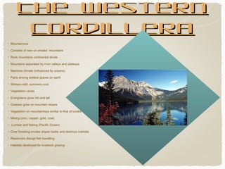 The Western
Cordillera
Mountainous
Consists of new un eroded mountains
Rock mountains continental divide
Mountains separated by river valleys and plateaus
Maritime climate (influenced by oceans)
Parts among wettest places on earth
Winters mild, summers cool
Vegetation varies
Evergreens grow old and tall
Grasses grow on mountain slopes
Vegetation on mountaintops similar to that of tundra
Mining (zinc, copper, gold, coal)
Lumber and fishing (Pacific Ocean)
Over foresting erodes slopes faster and destroys habitats
Reservoirs disrupt fish travelling
Habitats destroyed for livestock grazing

 