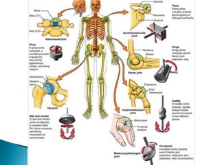 Physical rehabilitation in arthritis | PPTX