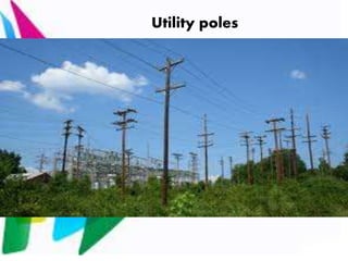 Utility poles
 