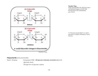 Polysaccharide (many saccharides)
Starch / Amylose Composed of 250 - 400 glucose molecules connected via α-1-4-
glycosidic bond
Storage form of glucose in plants
118
Teacher&Tips:&
Image retrieved March 26, 2016 from http://
namrataheda.blogspot.com/2013/04/
biomolecules-of-cell-carbohydrates-
part_16.html
13. The piece may be linked to or used in
discussions in English, Philosophy or Social
Sciences.
 