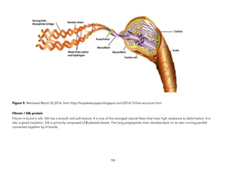 Figure 9. Retrieved March 25,2016, from http://kriyasbeautyspa.blogspot.com/2014/12/hair-structure.html
Fibroin / Silk protein
Fibroin is found in silk. Silk has a smooth and soft texture. It is one of the strongest natural fibers that have high resistance to deformation. It is
also a good insulation. Silk is primarily composed of β-pleated sheets. The long polypeptide chain doubles back on its own running parallel
connected together by H-bonds.
126
 