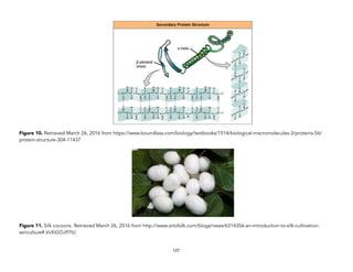 Figure 10. Retrieved March 26, 2016 from https://www.boundless.com/biology/textbooks/1514/biological-macromolecules-3/proteins-56/
protein-structure-304-11437
Figure 11. Silk cocoons. Retrieved March 26, 2016 from http://www.artofsilk.com/blogs/news/6314356-an-introduction-to-silk-cultivation-
sericulture#.VvXiGOJ97IU
127
 