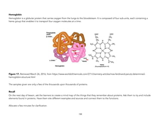 Hemoglobin
Hemoglobin is a globular protein that carries oxygen from the lungs to the bloodstream. It is composed of four sub-units, each containing a
heme group that enables it to transport four oxygen molecules at a time.
Figure 17. Retrieved March 26, 2016, from https://www.worldofchemicals.com/271/chemistry-articles/max-ferdinand-perutz-determined-
hemoglobin-structure.html
The samples given are only a few of the thousands upon thousands of proteins.
Recall
On the next day of lesson, ask the learners to create a mind map of the things that they remember about proteins. Ask them to try and include
elements found in proteins. Have them site different examples and sources and connect them to the functions.
Allocate a few minutes for clarification.
130
 