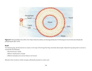 Figure 21. Retrieved March 26, 2016, from https://www.boundless.com/biology/textbooks/1514/biological-macromolecules-3/lipids-55/
phospholipids-300-11433/
Recall
The following day, ask the learners to create a mind map of the things that they remember about lipids. Help them by asking them to strive to
incorporate the following:
- elements found in lipids
- different classifications of lipids
- different examples and connect these to its function
Allocate a few minutes to clarify concepts, afterwards proceed to nucleic acid.
136
 