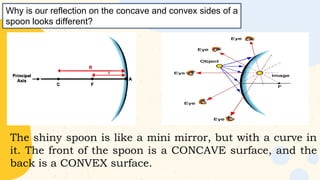 Why is our reflection on the concave and convex sides of a
spoon looks different?
The shiny spoon is like a mini mirror, but with a curve in
it. The front of the spoon is a CONCAVE surface, and the
back is a CONVEX surface.
 