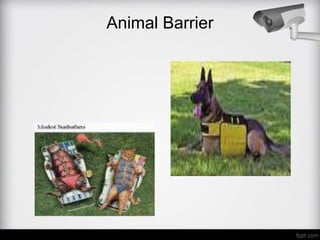 Animal Barrier
 