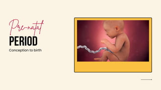 PERIOD
Conception to birth
 