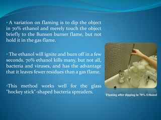 • A variation on flaming is to dip the object
in 70% ethanol and merely touch the object
briefly to the Bunsen burner flame, but not
hold it in the gas flame.
• The ethanol will ignite and burn off in a few
seconds. 70% ethanol kills many, but not all,
bacteria and viruses, and has the advantage
that it leaves fewer residues than a gas flame.
•This method works well for the glass
"hockey stick"-shaped bacteria spreaders.
Flaming after dipping in 70% Ethanol
 