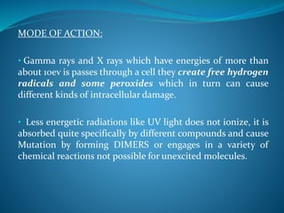 MODE OF ACTION:
• Gamma rays and X rays which have energies of more than
about 10ev is passes through a cell they create free hydrogen
radicals and some peroxides which in turn can cause
different kinds of intracellular damage.
• Less energetic radiations like UV light does not ionize, it is
absorbed quite specifically by different compounds and cause
Mutation by forming DIMERS or engages in a variety of
chemical reactions not possible for unexcited molecules.
 