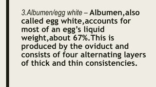 3.Albumen/egg white – Albumen,also
called egg white,accounts for
most of an egg’s liquid
weight,about 67%.This is
produced by the oviduct and
consists of four alternating layers
of thick and thin consistencies.
 