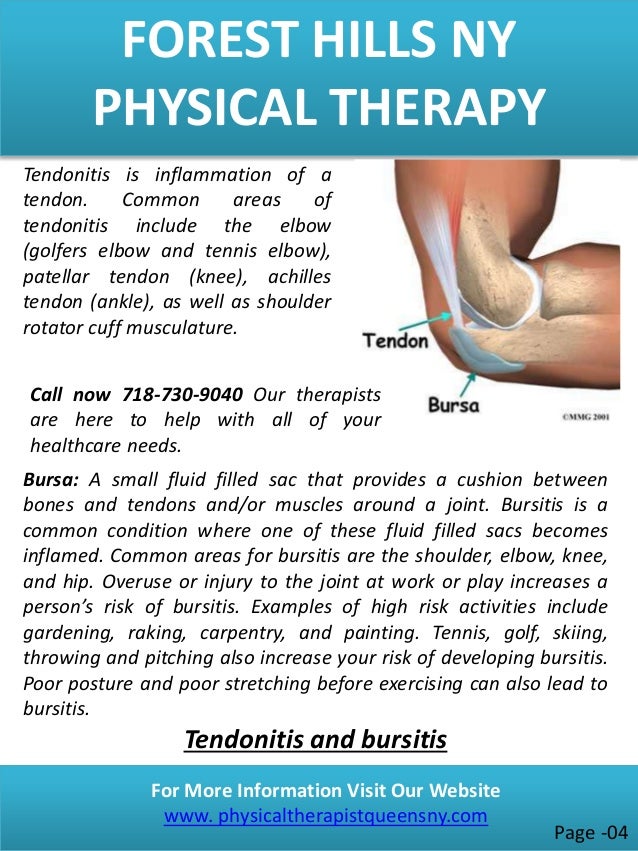 Physical therapy forest hills location