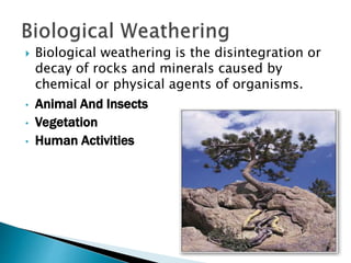Weather and Mass Wasting | PPT
