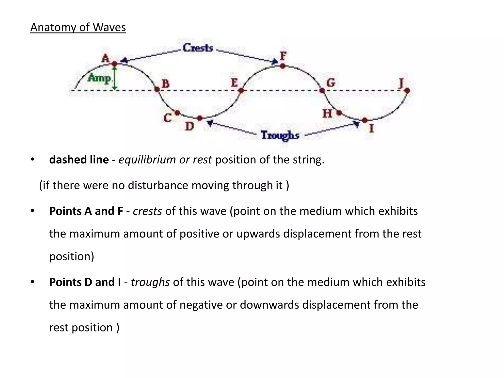 Anatomy of Waves
• dashed line - equilibrium or rest position of the string.
(if there were no disturbance moving through it )
• Points A and F - crests of this wave (point on the medium which exhibits
the maximum amount of positive or upwards displacement from the rest
position)
• Points D and I - troughs of this wave (point on the medium which exhibits
the maximum amount of negative or downwards displacement from the
rest position )
 