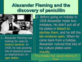 Alexander Fleming and the discovery of penicillin 1.  Alexander Fleming was looking for ways to  destroy bacteria . In 1928, he was growing lots of bacteria known as staphylococci on  agar plates. 2.  Before going on holiday in 1928 Alexander made two mistakes. He didn't put all of his plates in  bleach to sterilise them , and he left the  lab windows open . When he came back from a holiday, Alexander noticed that lots of his culture plates were  mouldy. This mistake has  saved millions of lives 