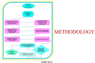 METHODOLOGY
SLIDE NO 11
 