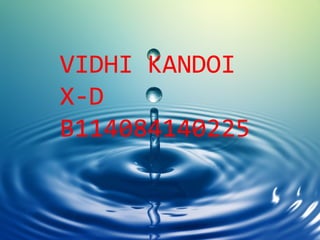 VIDHI KANDOI
X-D
B114084140225

 