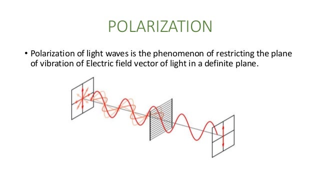 Examples Of Polarized Light In Nature Examples Of Polarized Light In Nature