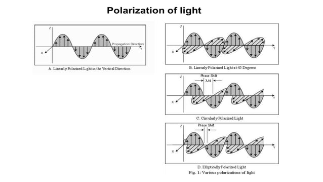 POLARIZATION - BIREFRINGENCE AND HUYGEN'S THEORY OF DOUBLE REFRACTION ...