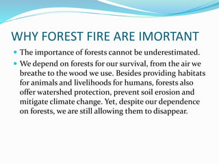 WHY FOREST FIRE ARE IMORTANT
 The importance of forests cannot be underestimated.
 We depend on forests for our survival, from the air we
breathe to the wood we use. Besides providing habitats
for animals and livelihoods for humans, forests also
offer watershed protection, prevent soil erosion and
mitigate climate change. Yet, despite our dependence
on forests, we are still allowing them to disappear.
 