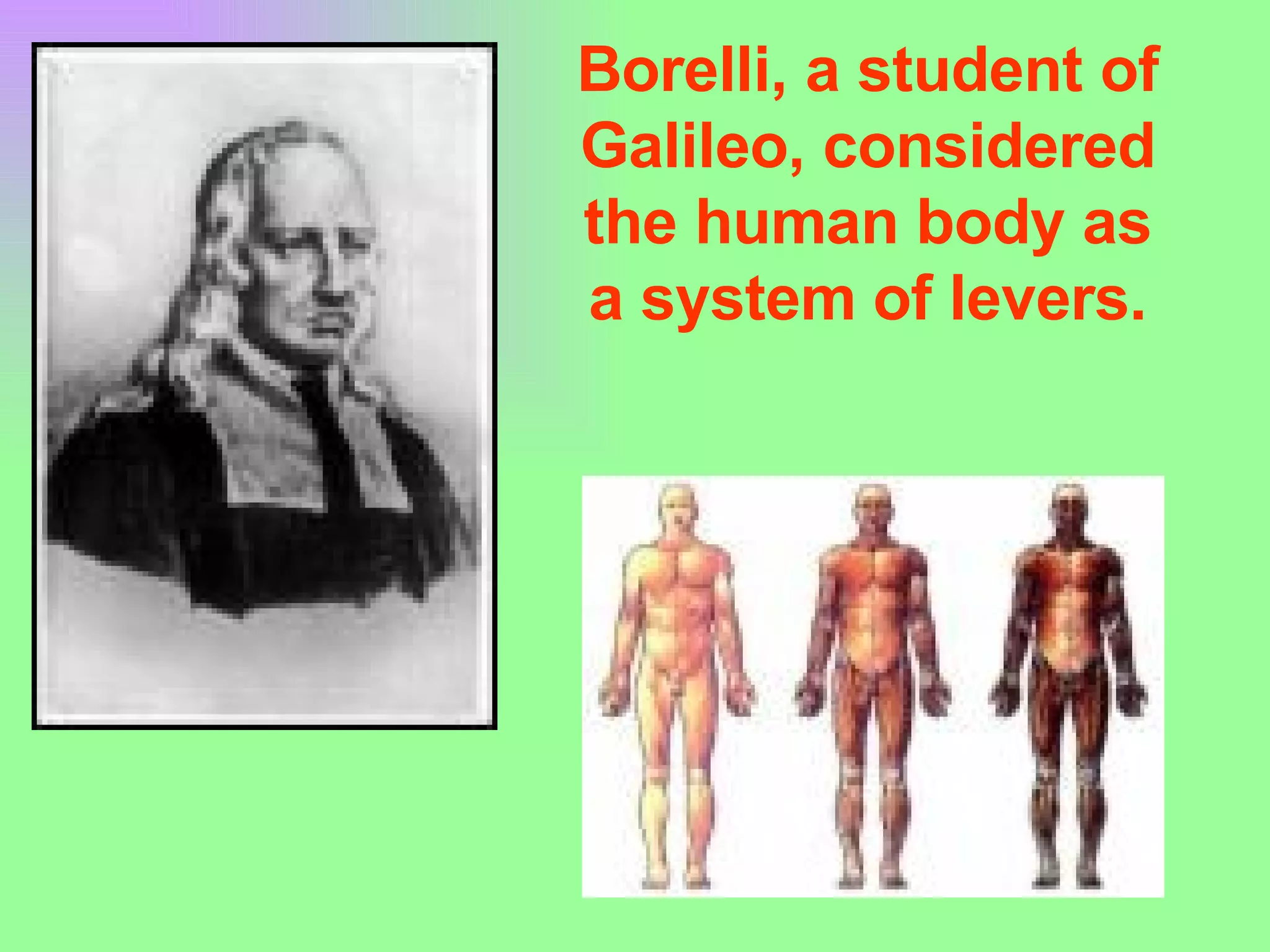 Borelli, a student of Galileo, considered the human body as a system of levers. 