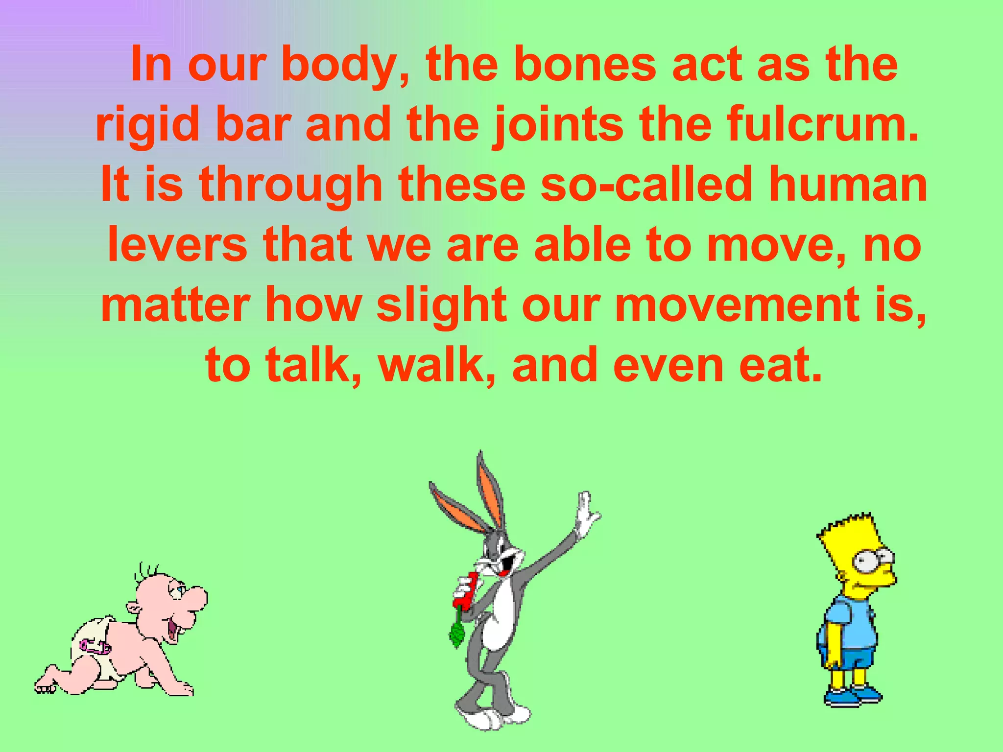 In our body, the bones act as the rigid bar and the joints the fulcrum.  It is through these so-called human levers that we are able to move, no matter how slight our movement is, to talk, walk, and even eat. 
