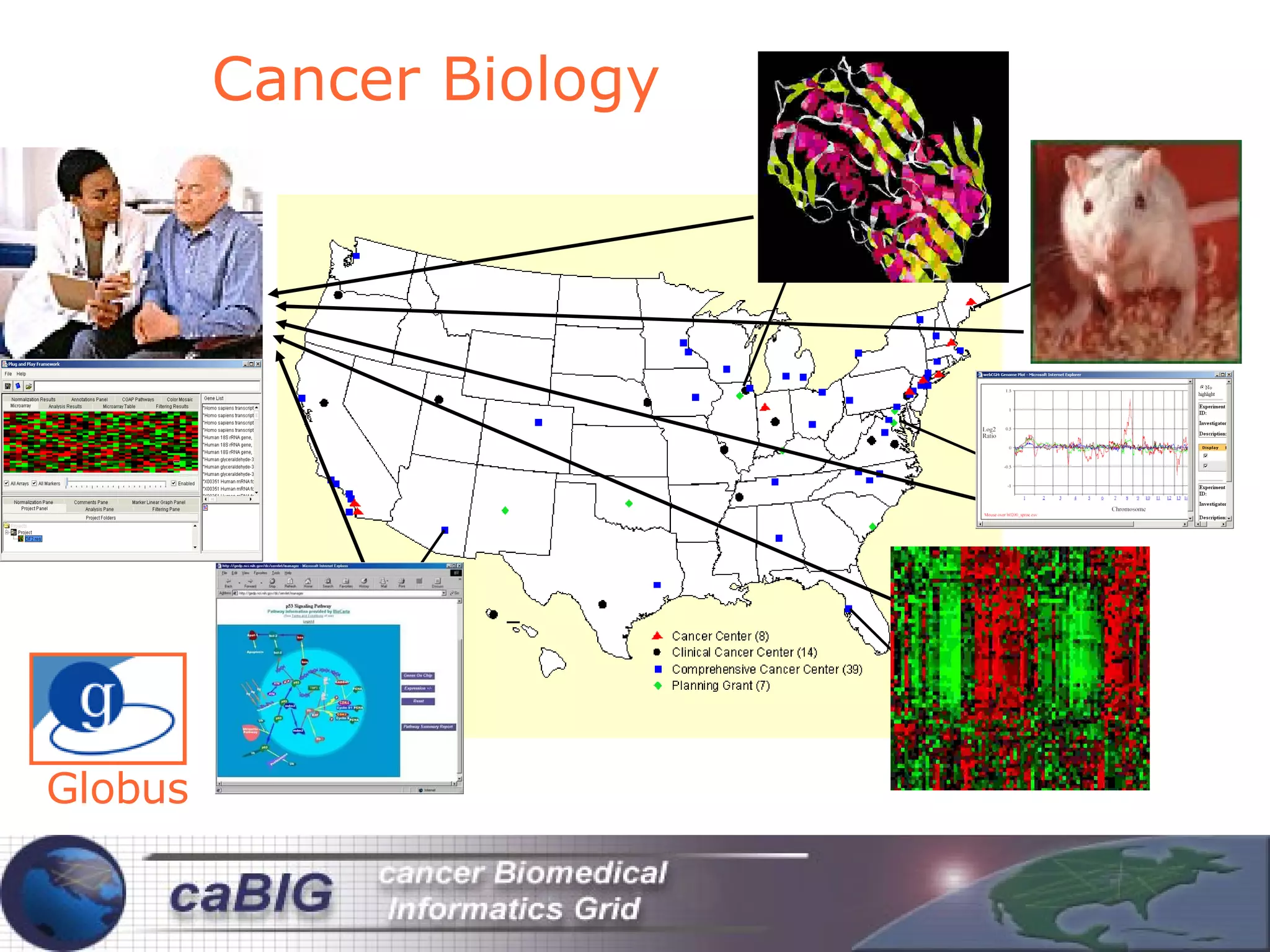 Cancer Biology Globus 