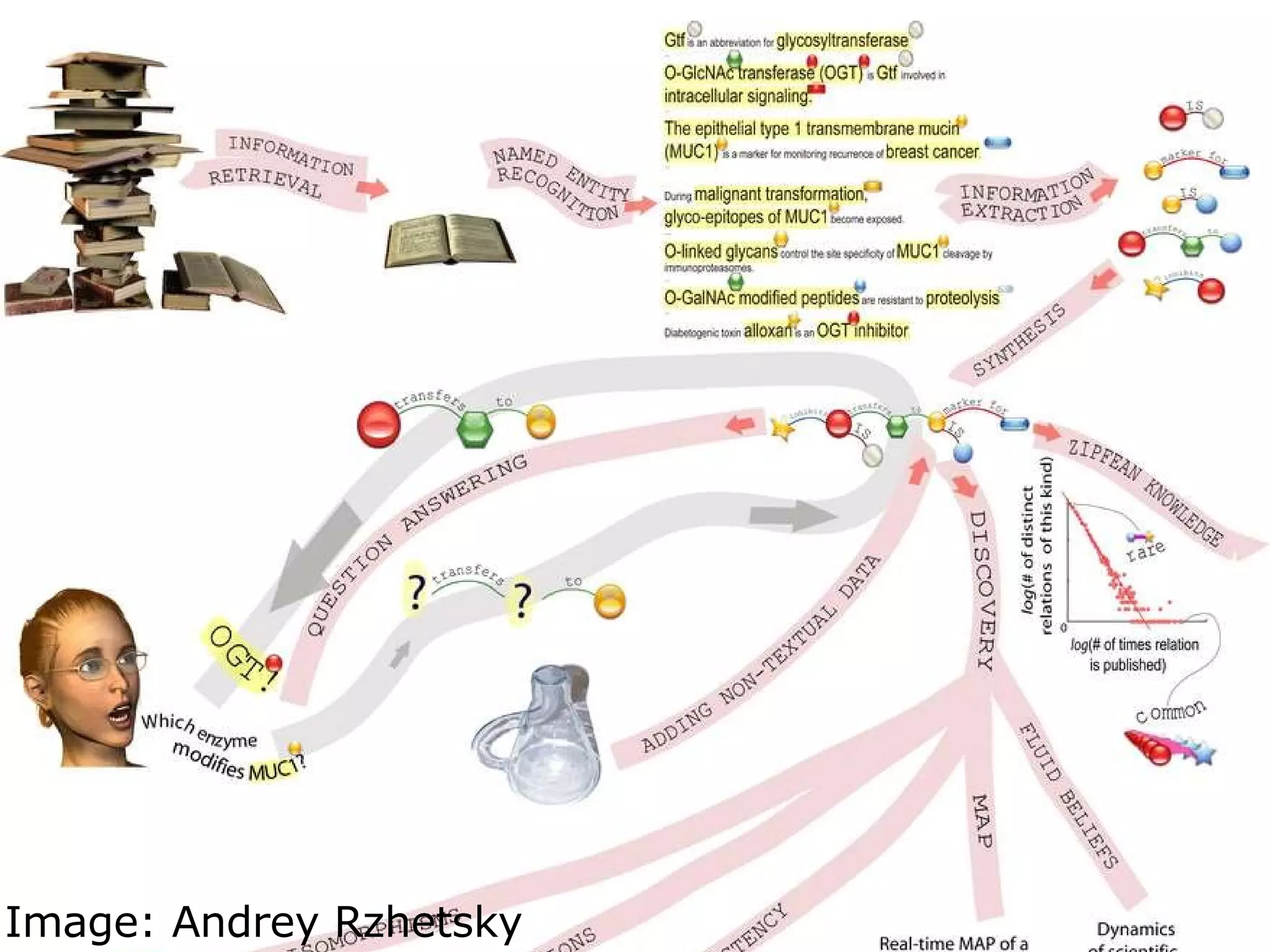 Image: Andrey Rzhetsky  