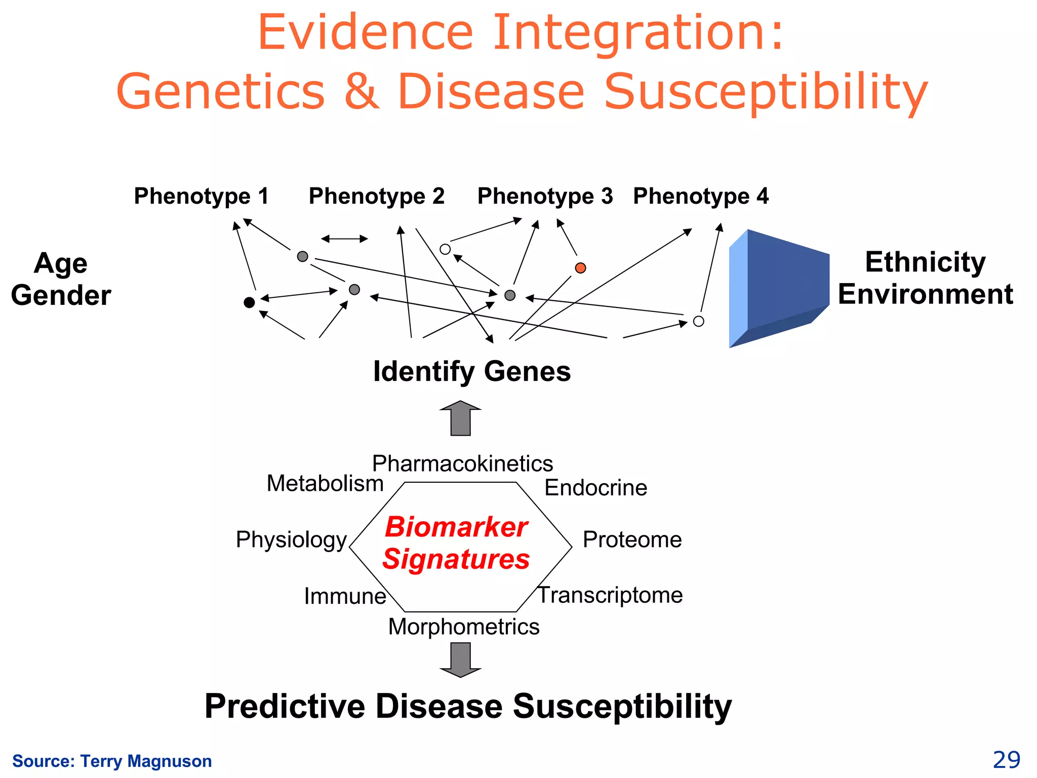 Evidence Integration: Genetics & Disease Susceptibility Identify Genes Phenotype 1  Phenotype 2  Phenotype 3  Phenotype 4 Predictive Disease Susceptibility Physiology Metabolism Endocrine Proteome Immune Transcriptome Biomarker Signatures Morphometrics Pharmacokinetics Ethnicity Environment Age Gender Source: Terry Magnuson 